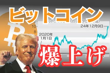 トランプ相場？ ビットコインついに10万ドル突破 再選で期待がふくらむけれど…知っておきたい投資リスク：東京新聞デジタル