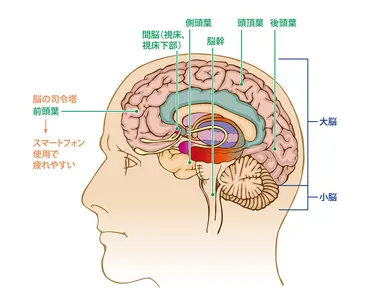 原因はスマートフォンの使い過ぎ!?「脳過労」を防ぐデジタルデトックス術 