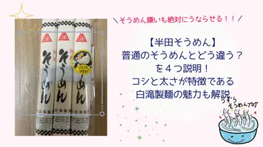 白滝製麺、半田そうめんの魅力と炎上騒動？～誤発送、限定販売、そしてSNSの波紋～白滝製麺の挑戦：半田そうめんの味とSNSでの騒動