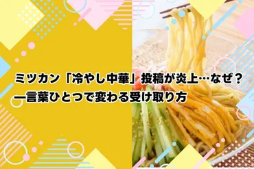 ミツカン「冷やし中華」投稿が炎上…なぜ?—言葉ひとつで変わる受け取り方