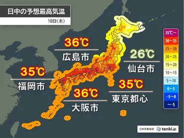 白滝製麺の後払い決済終了？未払い被害と課題を徹底解説！半田そうめん通販開始と、後払い決済終了の真相