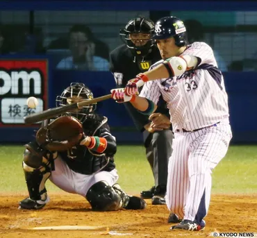 「恵体糞打」ってどういう意味？元ネタは畠山和洋選手？ネットスラングの真相とは！？