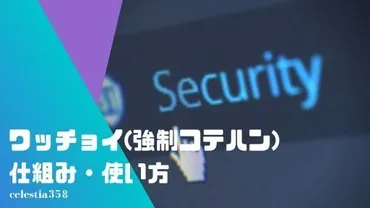 ワッチョイって、一体なんなの？ワッチョイの正体とは！？