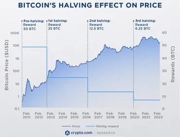 ビットコイン半減期後の将来性と価格予想