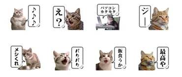 ミームとは？ミーム猫、猫ミーム、ミームコイン、ミーム汚染、ミームセレクト？？？【今更聞けない若者言葉の意味を簡潔に】 