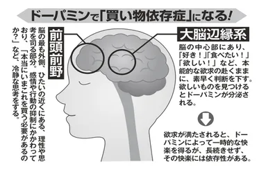 衝動買いの深層心理と対策とは？衝動買いを科学する！(？)衝動買いのメカニズムと賢い消費行動への道