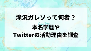 滝沢ガレソって誰？暴露系インフルエンサーの実態に迫る！とは！？